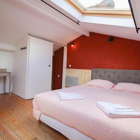 Old Lille - Superb Loft-Type Terrace! Rijsel Buitenkant foto